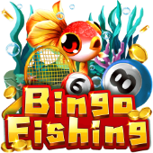 Bingo Fishing 30jili live fishing